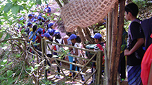 Nature Trail with Environment Team