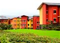 Lush greenery with amazing colours of architecture