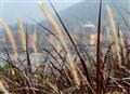 Beauty of Nature