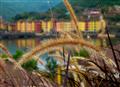 Flora blending nicely with Lavasa backdrop