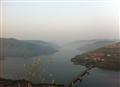 Flora & Fauna at Lavasa by Venky