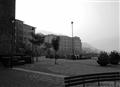 Black and white lavasa