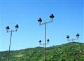 lamps